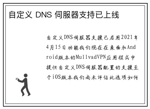 自定义 DNS 伺服器支持已上线 